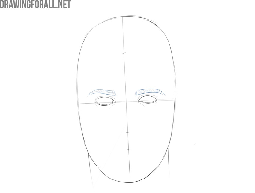 Adding textured eyebrows to the male face drawing.
