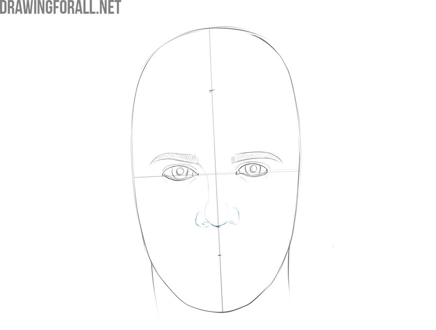 Drawing the male nose with bridge, tip, and nostrils.