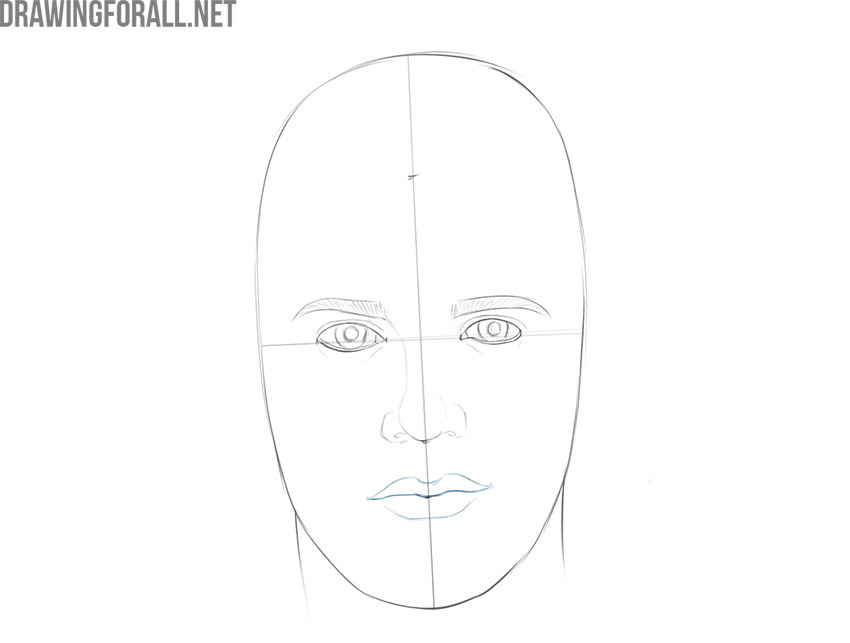Drawing the male mouth with upper and lower lips.