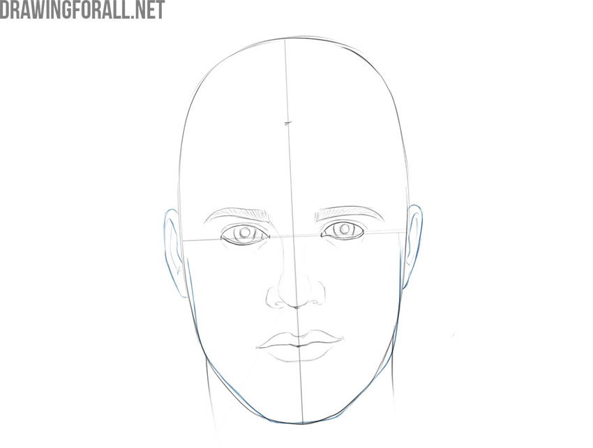 Drawing the angular jawline and both ears.