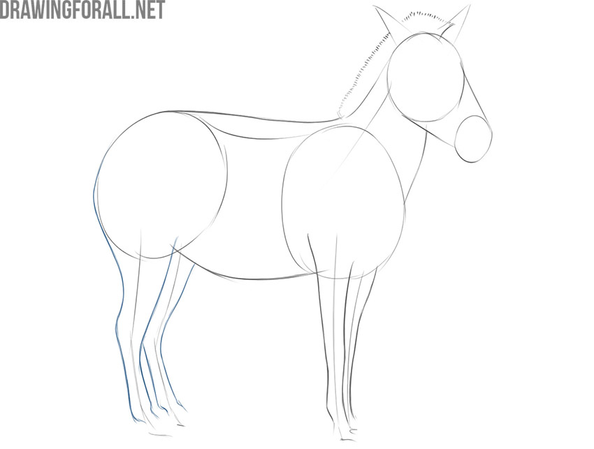 Adding the plains zebra’s powerful hind legs and visible joints.
