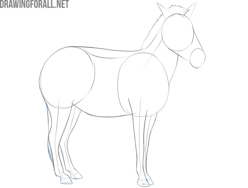 Finishing the plains zebra’s rounded hooves and tufted tail.