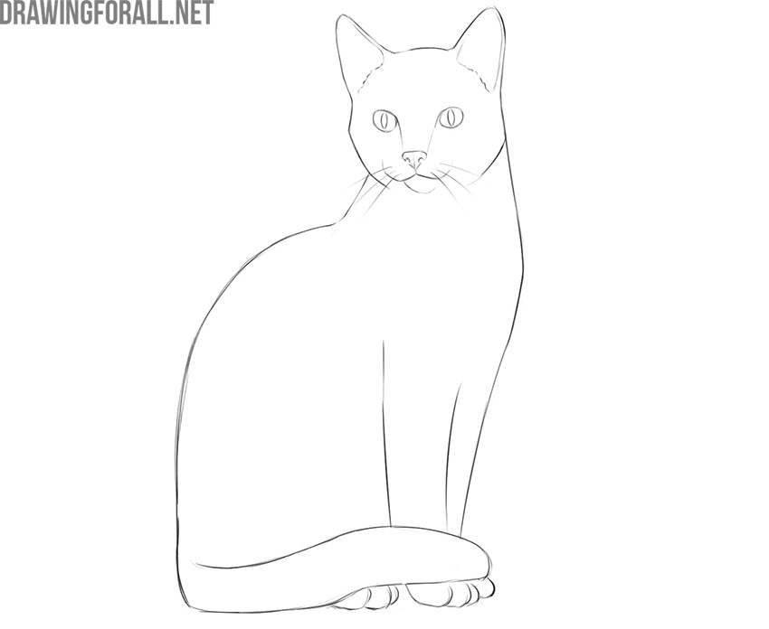Drawing of a sitting cat in a different position