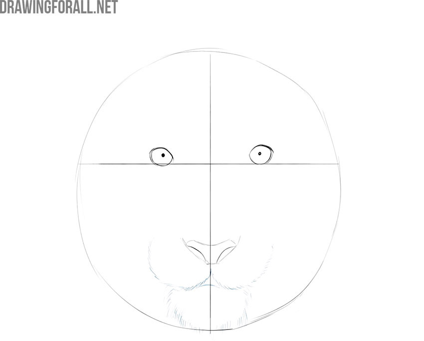 Outlining the tiger's mouth and chin with curved lines