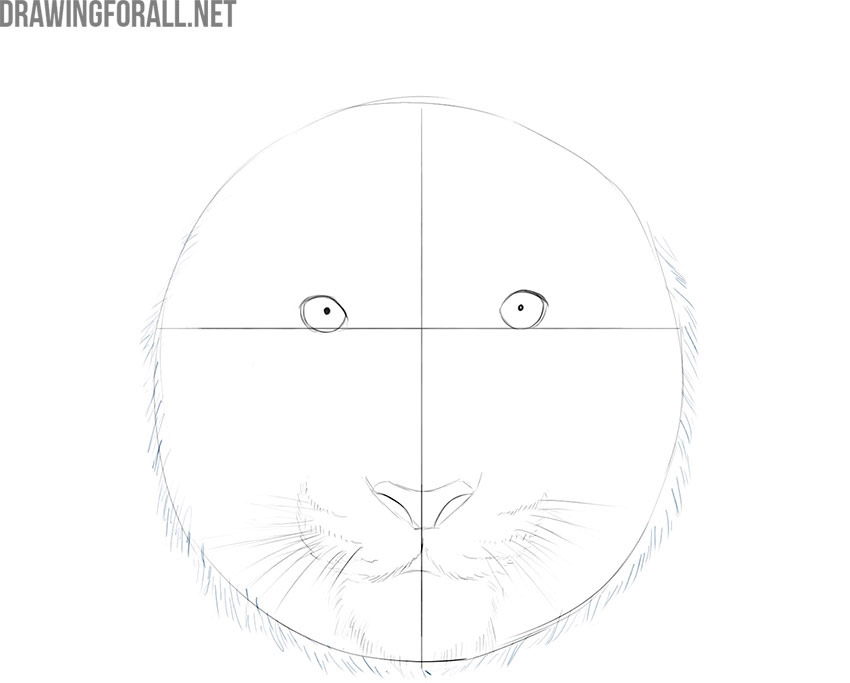 Refining the tiger's cheek fur with short pencil strokes