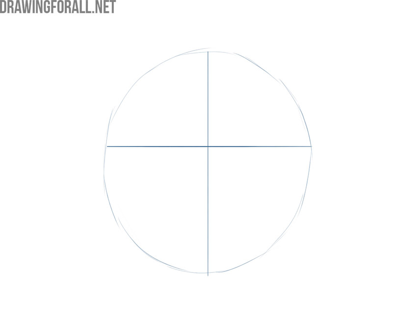 Sketching the wolf's round head shape with intersecting facial guidelines