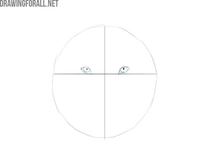 Drawing the wolf's eyes and pupils along the horizontal guideline