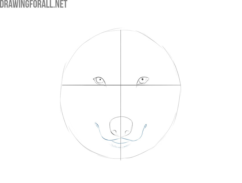 Drawing the wolf's curved mouth, chin, and short lower fur