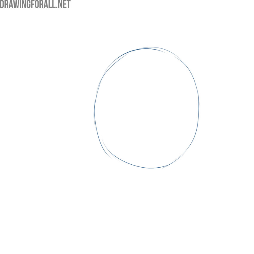 Outline the zebraβs head base