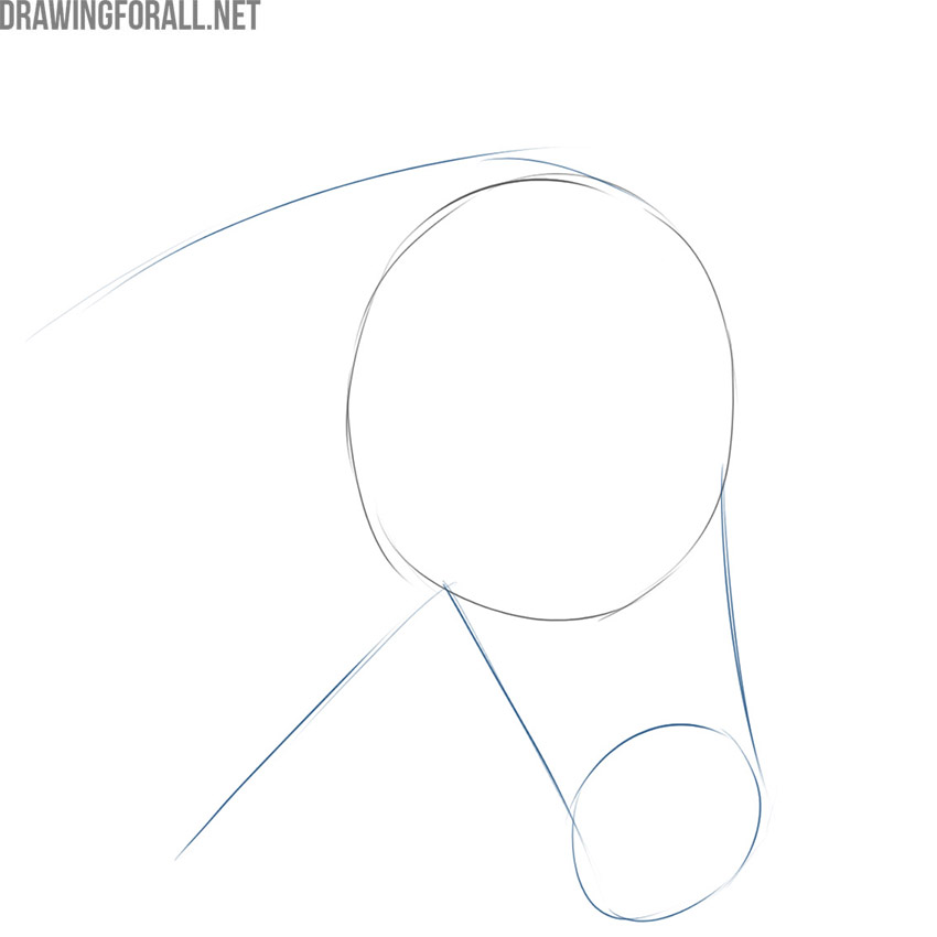 Draw the zebra muzzle and neck