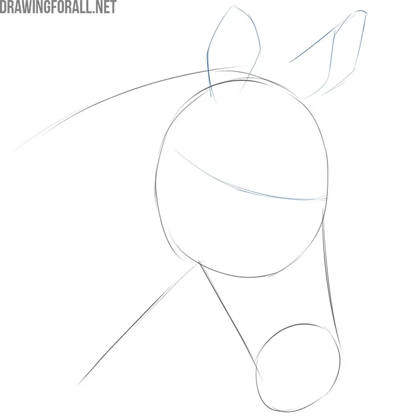 Draw the zebra eye guideline and ears