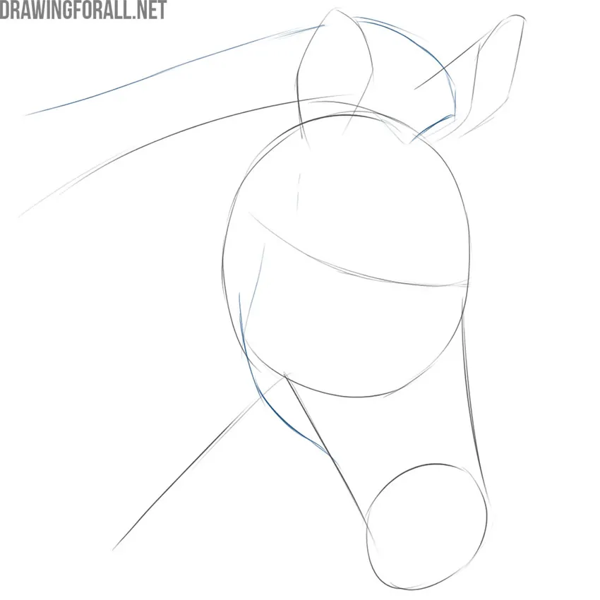 Sketch the animalβs mane and jaw