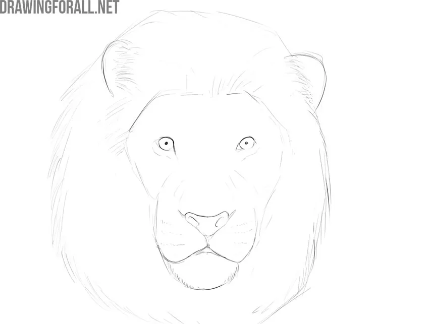How to draw the face of a lion