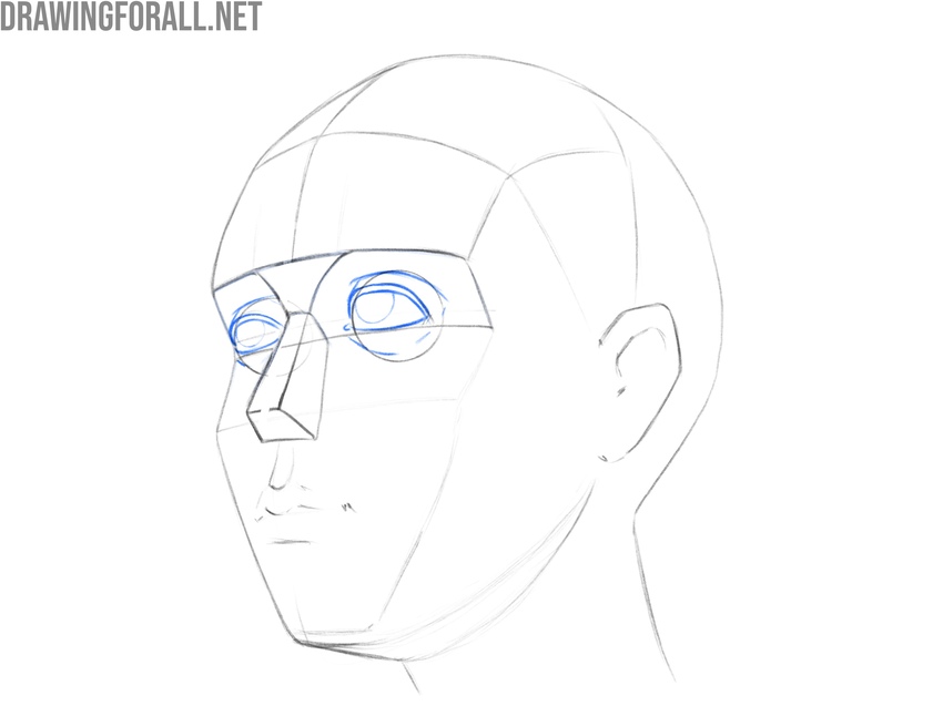 Eyes in 3/4 view on a head with construction lines