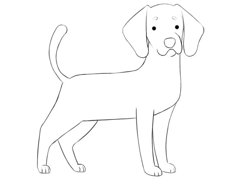 How to Draw a Cartoon Dog - Drawingforall.net