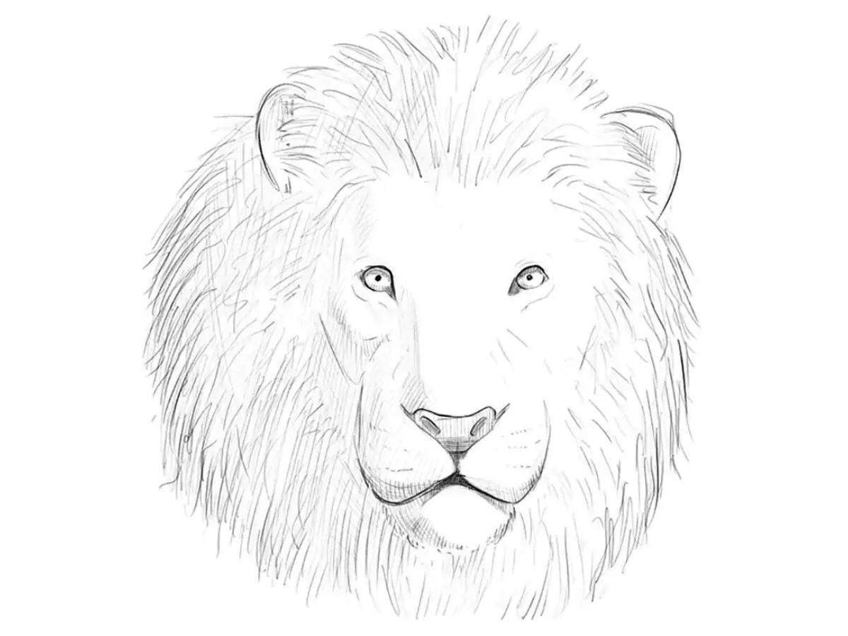 how to draw a lion head featured image