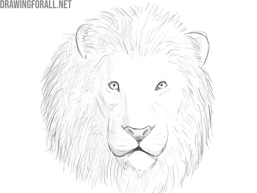 Review and finalize the lion head