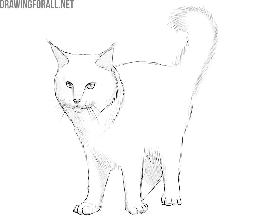 Deepen the shadows and midtones