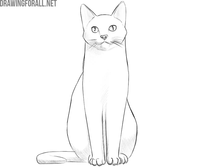 Add more shadows to the sitting cat