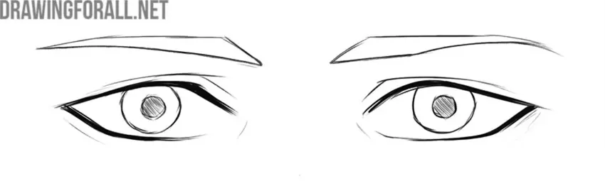 Check the proportions and finalize the drawing