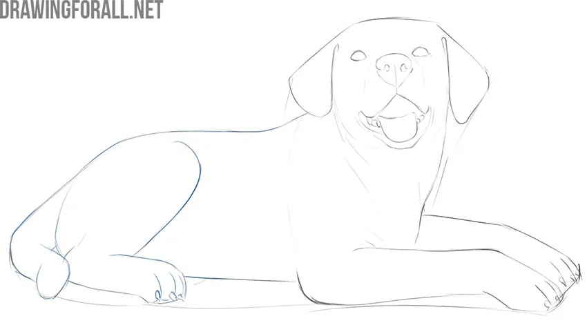 Refining the lying dog's hind leg, tail, and rear paw details.