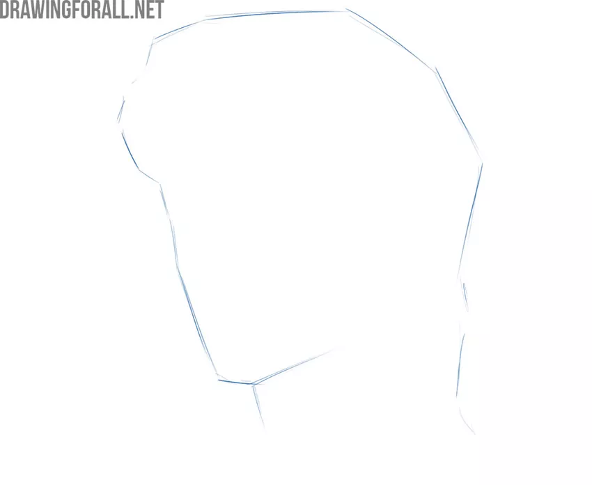 How to draw a face portrait