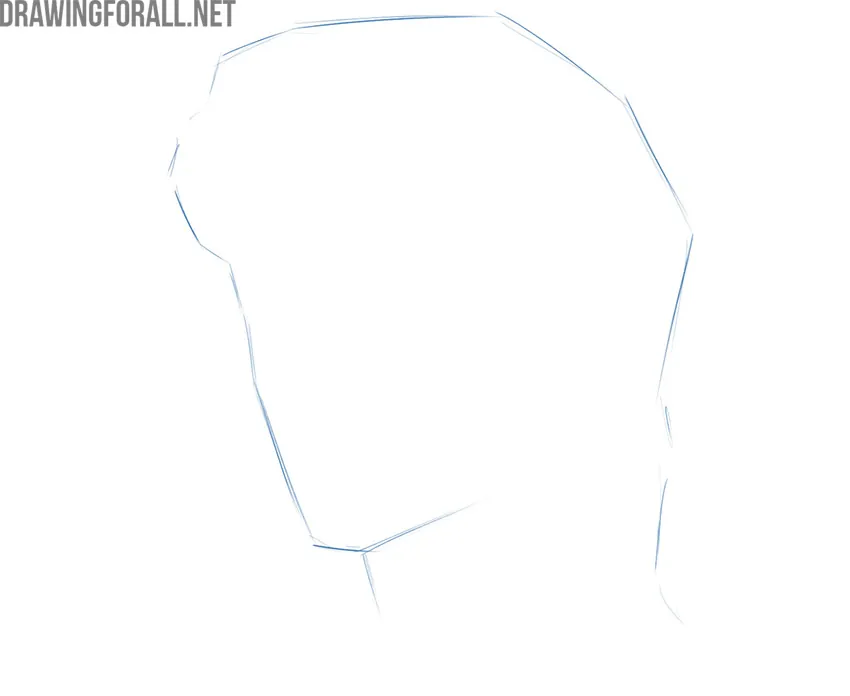 Sketching the basic head shape with light construction lines