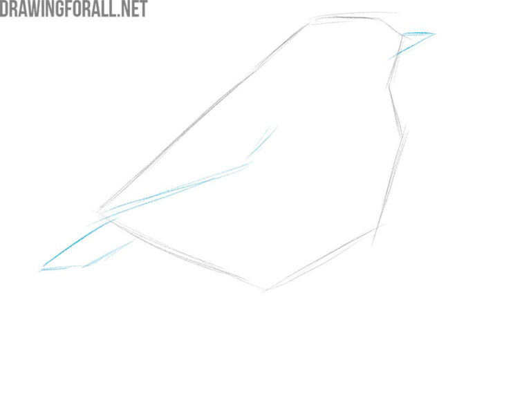 How to Draw a Bird - Drawingforall.net