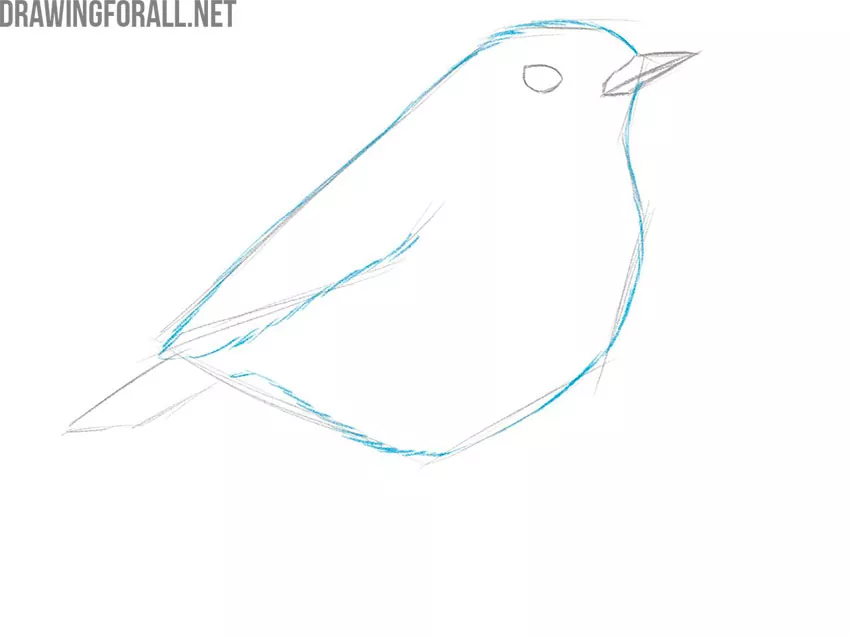 How to Draw a Bird easy tutorial