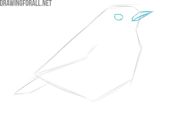 How to Draw a Bird - Drawingforall.net