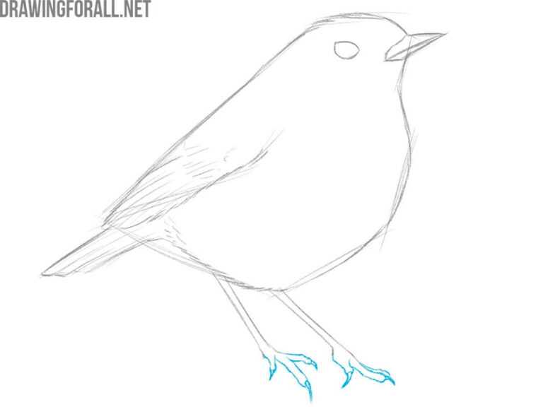 How to Draw a Bird - Drawingforall.net