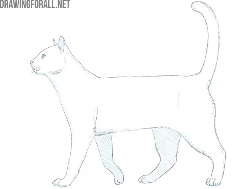 animal easy drawing guide
