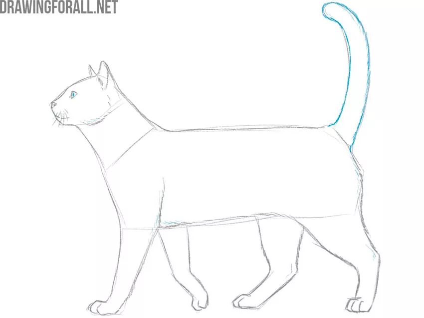 animal easy drawing