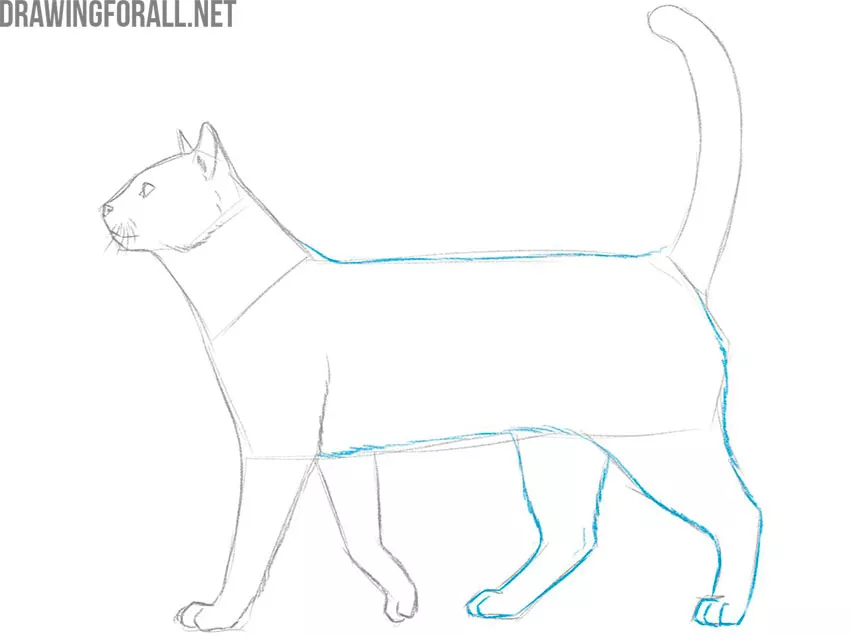 how to draw an animal for kids