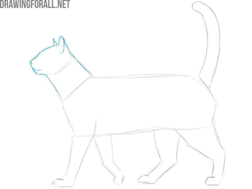 how to draw an animal step by step