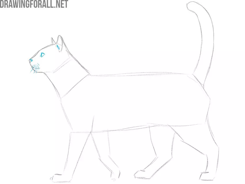 how to draw an animal tutorial_