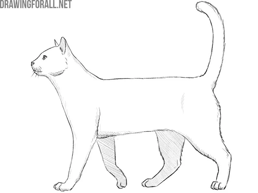 how to draw an animal