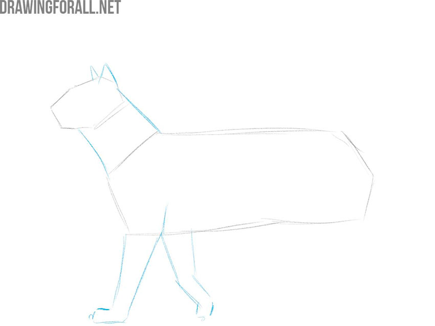 learn how to draw an animal easy