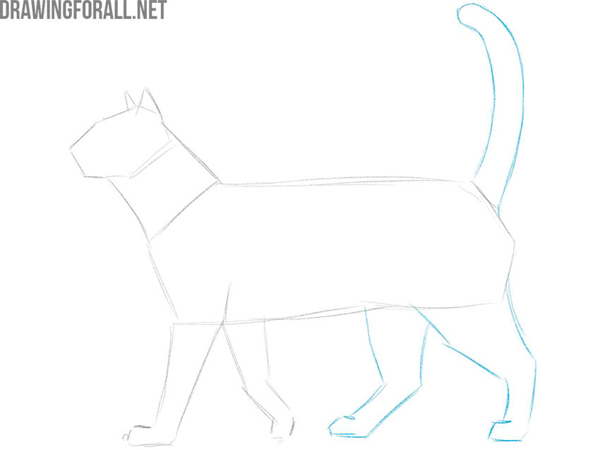learn how to draw an animal