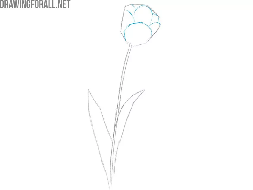 drawing a flower easy guide