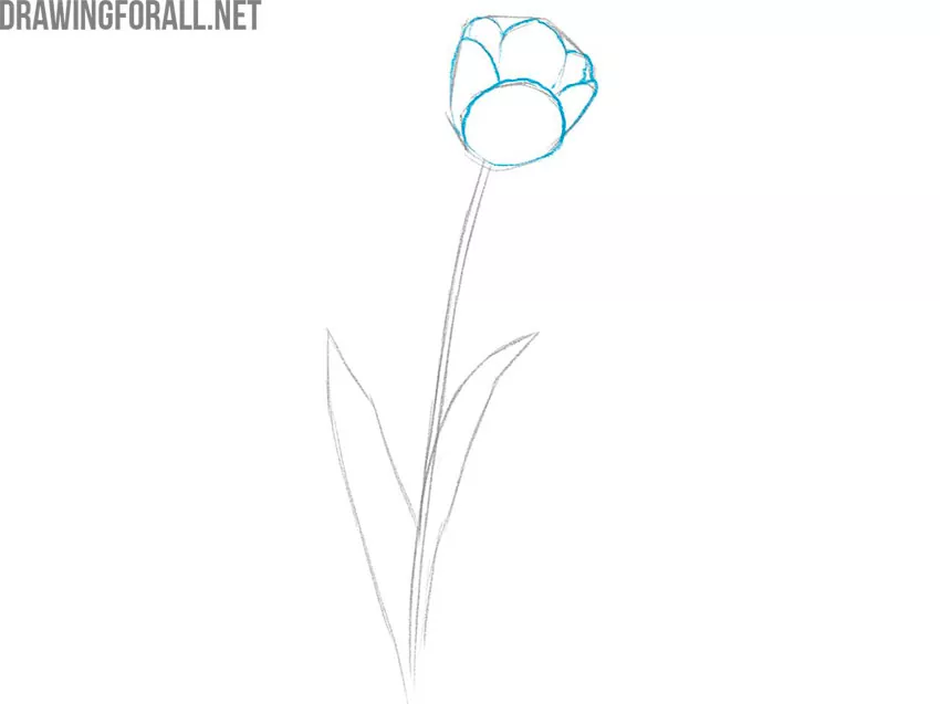 drawing a flower easy tutorial