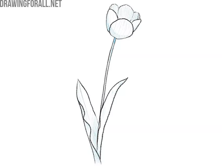 flower easy drawing guide