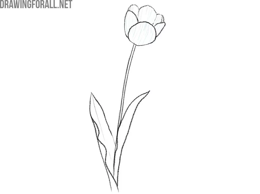 flower easy drawing tutorial