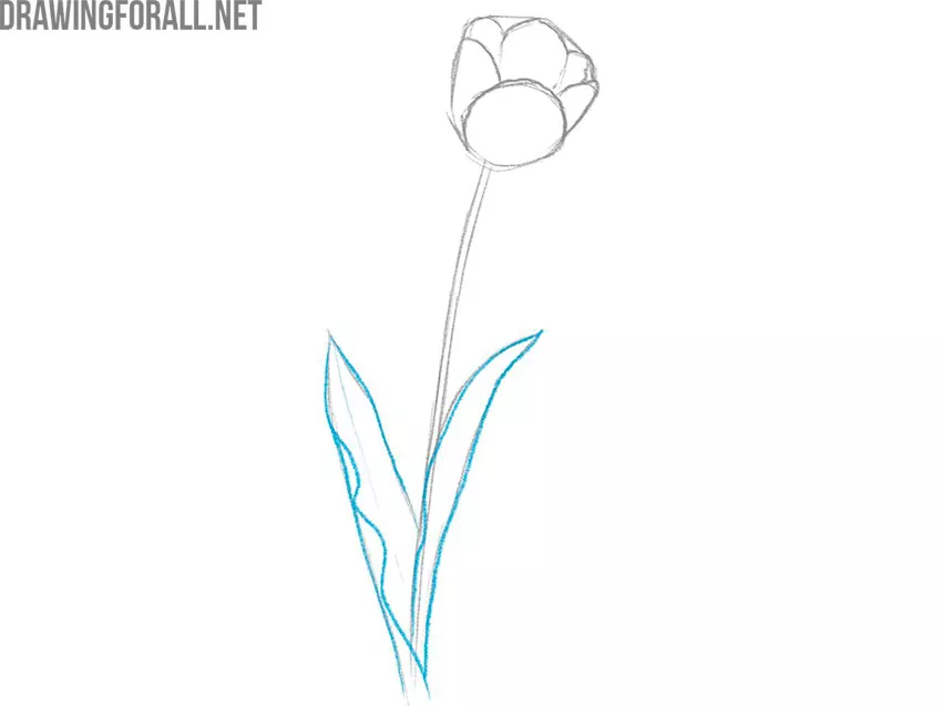 how to draw a flower easy