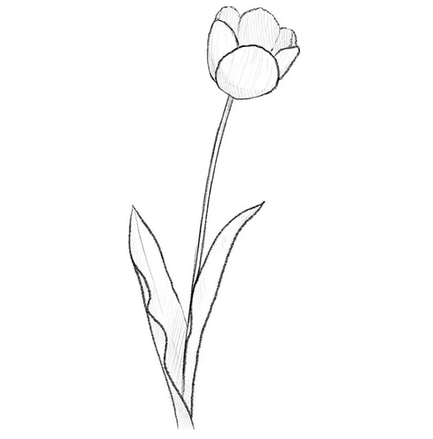 How to Draw a Flower