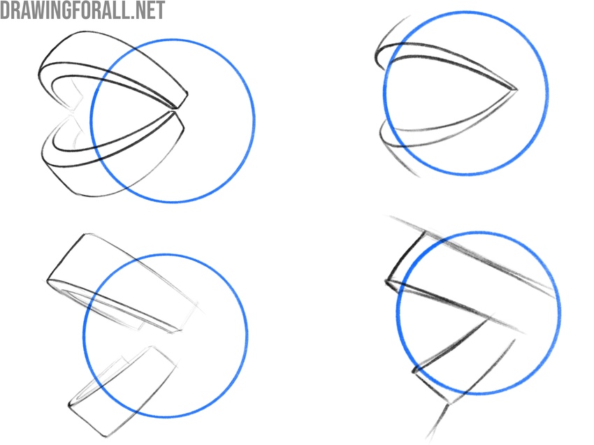 Construction of the eye and eyelids from the side view