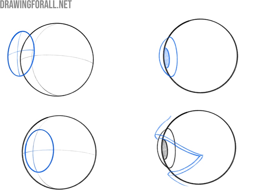 Construction of the eye, iris, pupil, and eyelids from the side