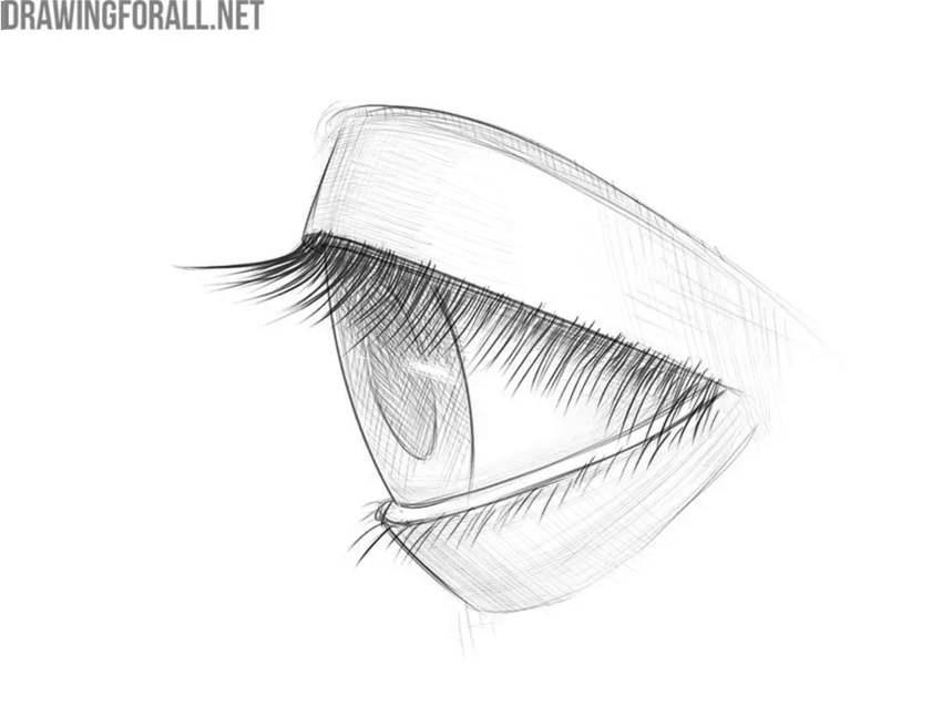 Example of an eye drawing from the side view