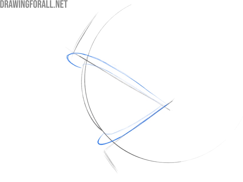 Draw the edges of the eyelids in detail