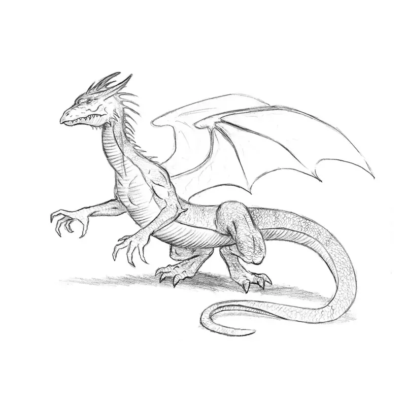 how to draw a dragon cover image